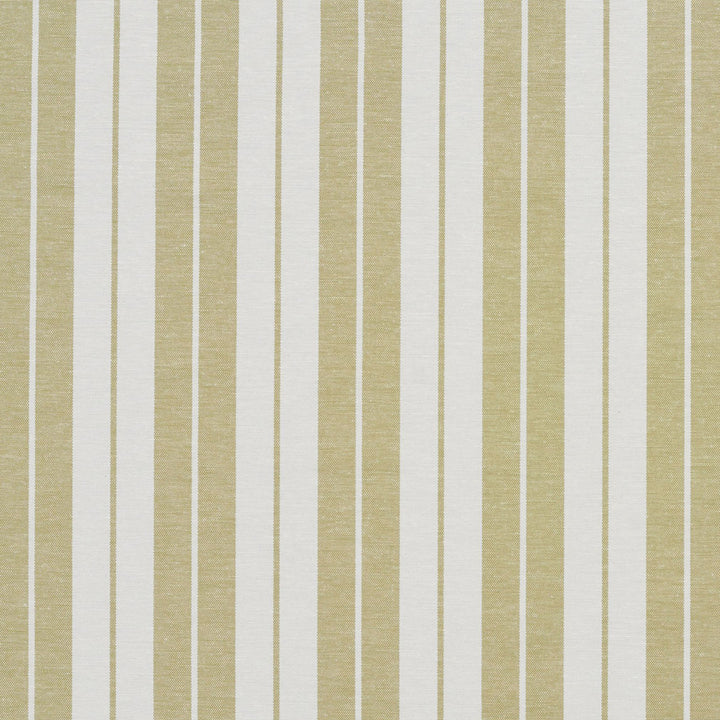 1585 Meadow Stripe by Charlotte Fabric Forever Classics 57% Cotton, 43% Polyester India Exceeds 100,000 Wyzenbeek Rubs (Heavy Duty) Horizontal: 2.75" 54 Inches - Fabric Carolina -