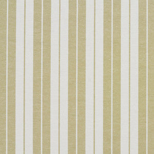 1585 Meadow Stripe by Charlotte Fabric