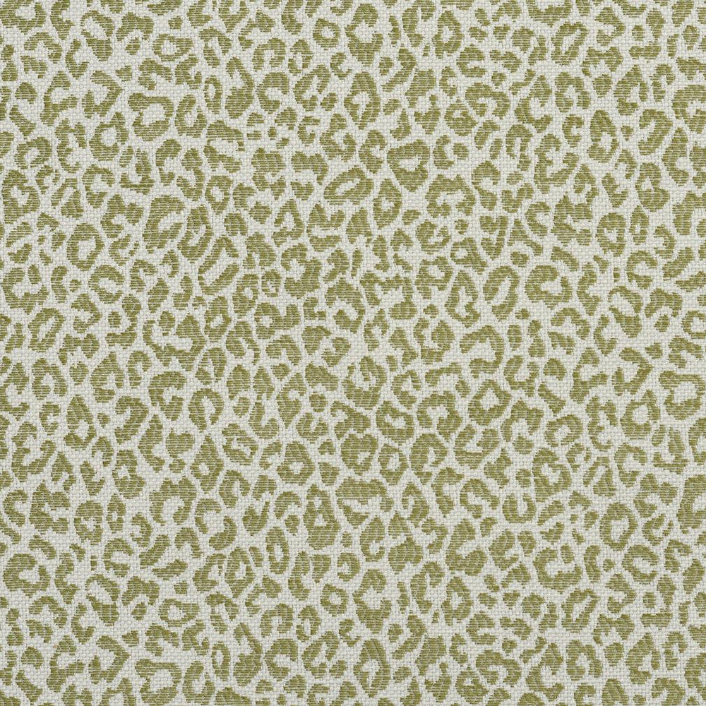 1591 Meadow by Charlotte Designer Fabric Ring Book Page #16A 75% Rayon, 25% Polyester Asia Exceeds 70,000 Wyzenbeek Rubs (Heavy Duty) Random 54 Inches - Swanky Fabrics -