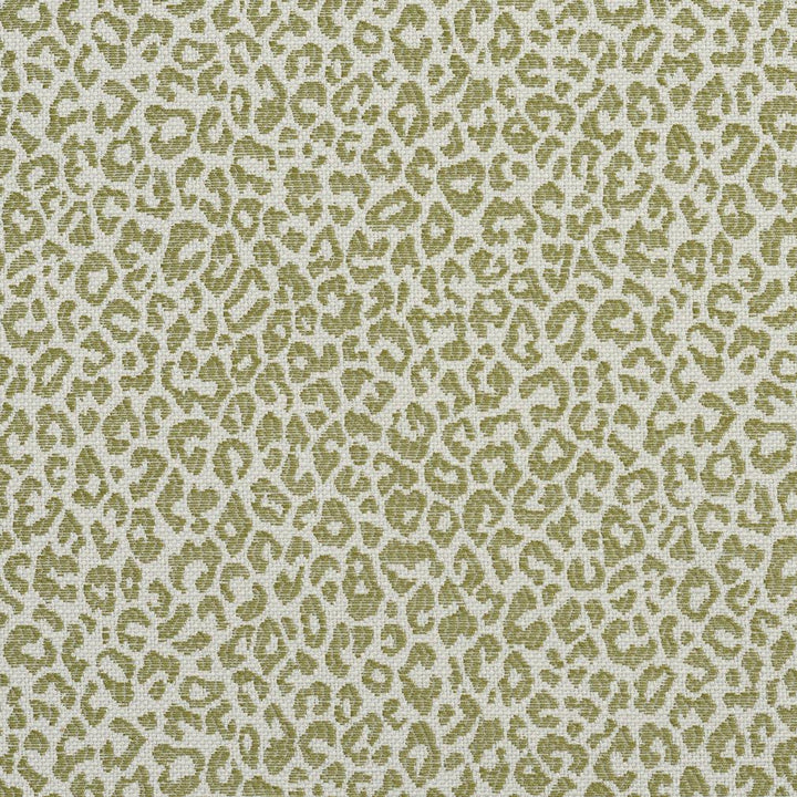 1591 Meadow by Charlotte Designer Fabric Ring Book Page #16A 75% Rayon, 25% Polyester Asia Exceeds 70,000 Wyzenbeek Rubs (Heavy Duty) Random 54 Inches - Swanky Fabrics -