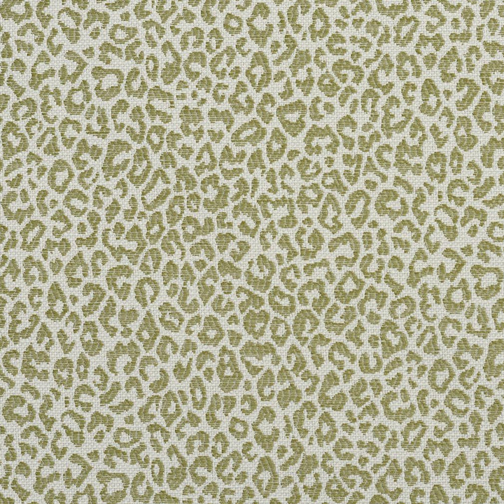 1591 Meadow by Charlotte Fabric Ring Book Page #16A 75% Rayon, 25% Polyester Asia Exceeds 70,000 Wyzenbeek Rubs (Heavy Duty) Random 54 Inches - Fabric Carolina -