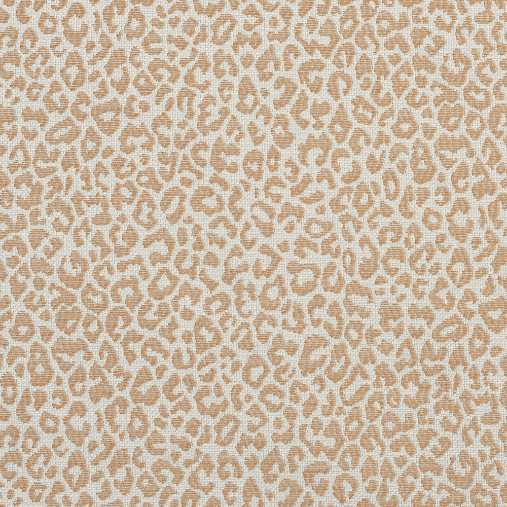 1592 Sand by Charlotte Fabric Ring Book Page #16A 75% Rayon, 25% Polyester Asia Exceeds 70,000 Wyzenbeek Rubs (Heavy Duty) Random 54 Inches - Fabric Carolina -
