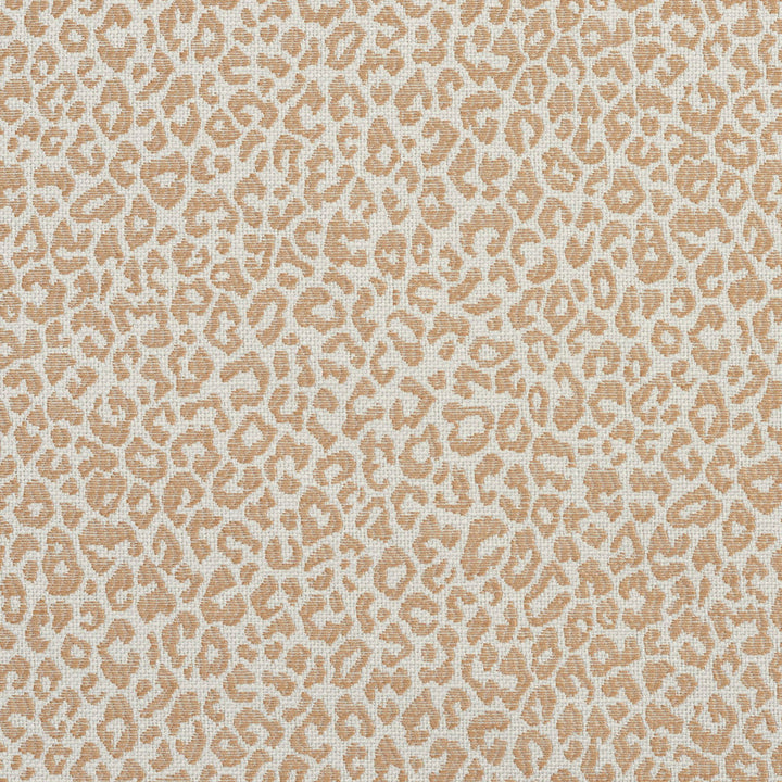 1592 Sand by Charlotte Fabric Ring Book Page #16A 75% Rayon, 25% Polyester Asia Exceeds 70,000 Wyzenbeek Rubs (Heavy Duty) </p><p>Repeat: Random 54 Inches - Fabric Carolina -