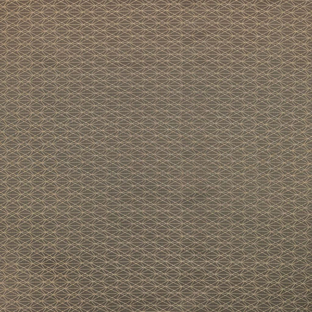 Ice Crystals Hazelnut by RM CoCo Fabric Finishing Touches Vol 17 100% Polyester See Sample 60000 Horizontal: 2.51.38 58  - Fabric Carolina -