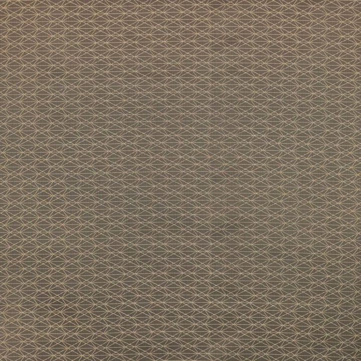 Ice Crystals Hazelnut by RM CoCo Fabric Finishing Touches Vol 17 100% Polyester See Sample 60000 Horizontal: 2.51.38 58  - Fabric Carolina -