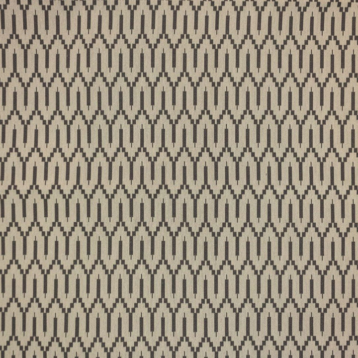 Katmai Carbon by RM CoCo Fabric