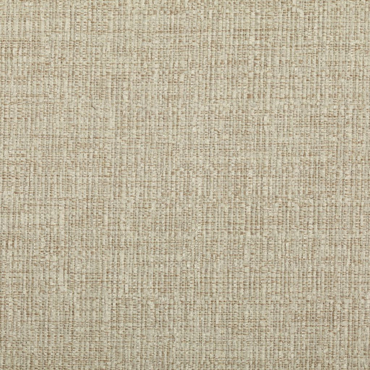 Belmont - Crypton® Feather by RM CoCo Fabric Winners Circle - Crypton Home® 100% Polyester See Sample 50000 Horizontal: 0 and Vertical: 0 54 - Fabric Carolina -