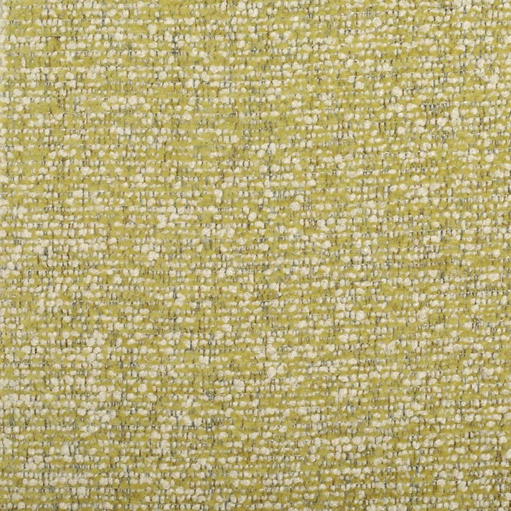 Triple Crown - Crypton® Fern by RM CoCo Fabric