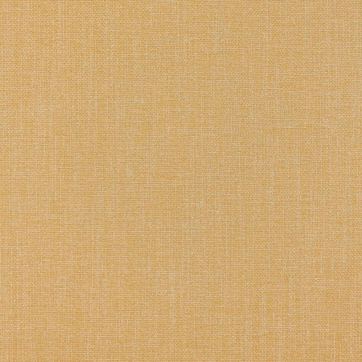 Smart Move Maize by RM CoCo Fabric Smart Move II 100% Polyester See Sample 0 Horizontal: 0 and Vertical: 0 55 - Fabric Carolina -