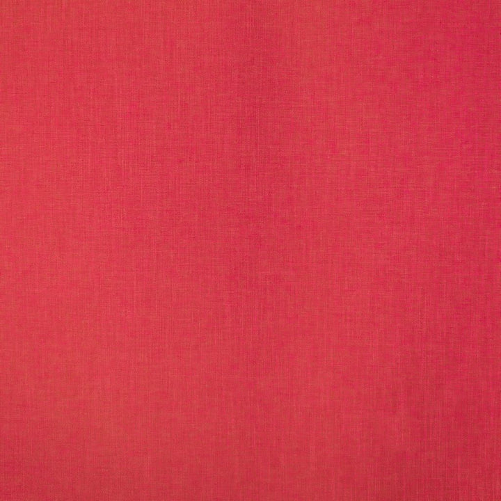 Smart Move Watermelon by RM CoCo Fabric