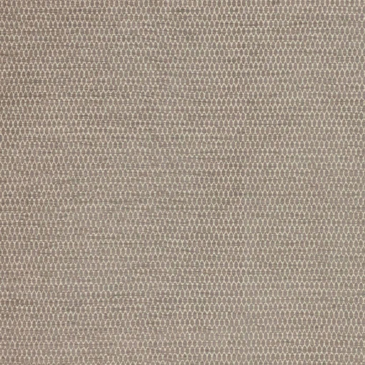 Stockard Dove by RM CoCo Fabric Finishing Touches Vol 12 55.02% Cotton 44.98% Polyester See Sample 33000 Horizontal: 0.25 and Vertical: 0.688 54 - Fabric Carolina -