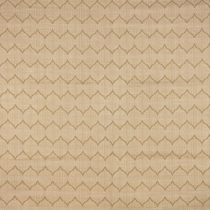 Haversham Sandstone by RM CoCo Fabric Finishing Touches Vol 12 64.21% Rayon 35.63% Cotton 0.16% Nylon See Sample 33000 Horizontal: 1.813 and Vertical: 3.75 54.5 - Fabric Carolina -