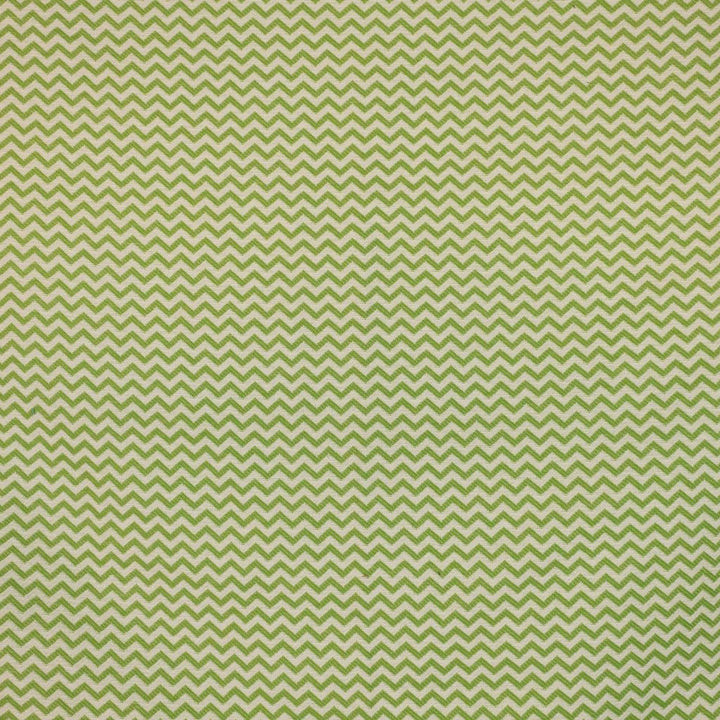 Ziggy Spring by RM CoCo Fabric Finishing Touches Vol 16 100% Polyester See Sample 33000 Horizontal: 0.938 and Vertical: 0.625 55 - Fabric Carolina -
