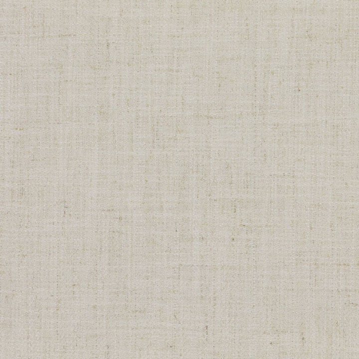 Barrister Froth by RM CoCo Fabric Barrister 80% Polyester 20% Linen See Sample 0 Horizontal: 0 and Vertical: 0 57 - Fabric Carolina -