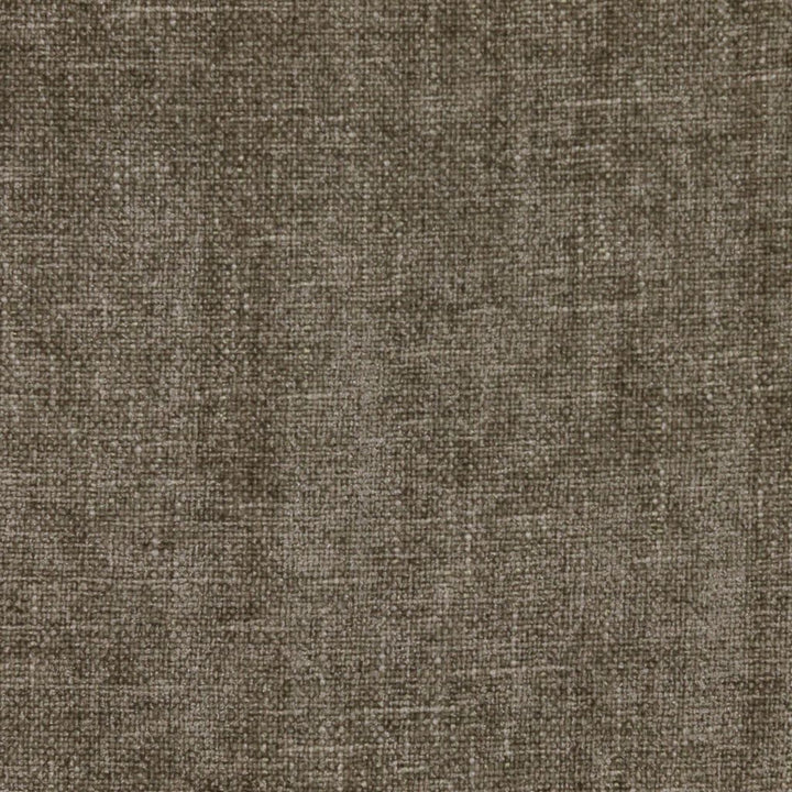Cortland Ash by RM CoCo Fabric