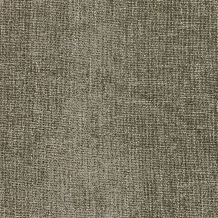 Cortland Stainless by RM CoCo Fabric