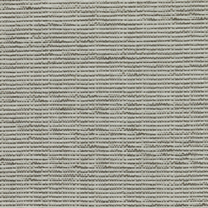 Bronco Birch by RM CoCo Fabric Modern Textures 100% Polyester See Sample 0 Horizontal: 0 and Vertical: 0 58 - Fabric Carolina -