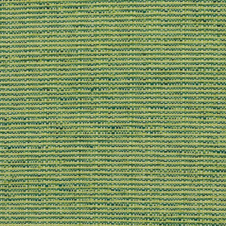 Bronco Citrus by RM CoCo Fabric Modern Textures 100% Polyester See Sample 0 Horizontal: 00 58  - Fabric Carolina -