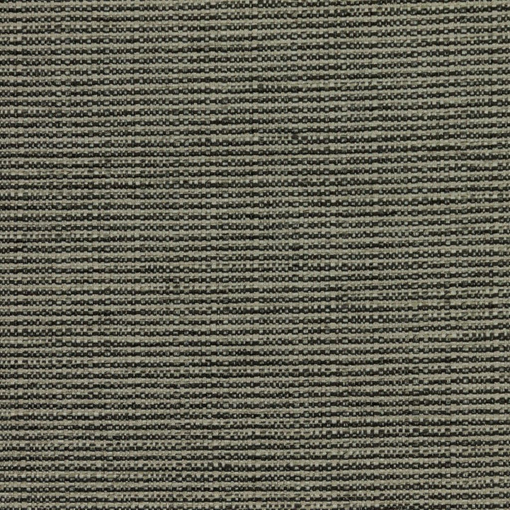 Bronco Pewter by RM CoCo Fabric