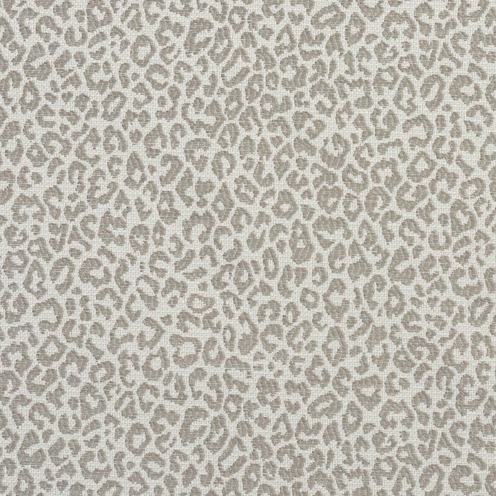 1594 Stone by Charlotte Fabric Ring Book Page #16A 75% Rayon, 25% Polyester Asia Exceeds 70,000 Wyzenbeek Rubs (Heavy Duty) </p><p>Repeat: Random 54 Inches - Fabric Carolina -