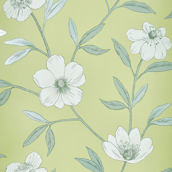 1595 73W8741 by JF Wallcovering SEQUOIA WALLPAPER BOOK 100% Wallpaper United Kingdom Horizontal: and Vertical: 20.8 20.5 inches, 11 yards per roll. - Fabric Carolina -