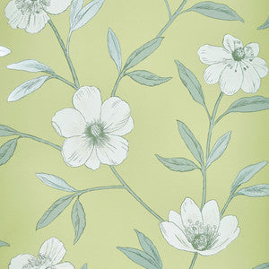 1595 73W8741 By JF Wallcovering