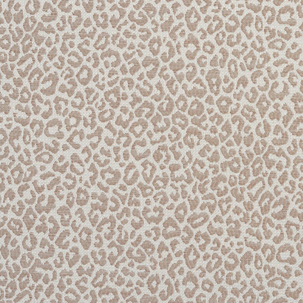 1596 Taupe by Charlotte Designer Fabric Ring Book Page #16A 75% Rayon, 25% Polyester Asia Exceeds 70,000 Wyzenbeek Rubs (Heavy Duty) Random 54 Inches - Swanky Fabrics -