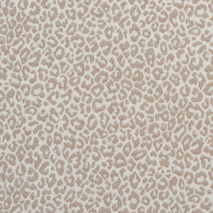 1596 Taupe by Charlotte Designer Fabric Ring Book Page #16A 75% Rayon, 25% Polyester Asia Exceeds 70,000 Wyzenbeek Rubs (Heavy Duty) Random 54 Inches - Swanky Fabrics -