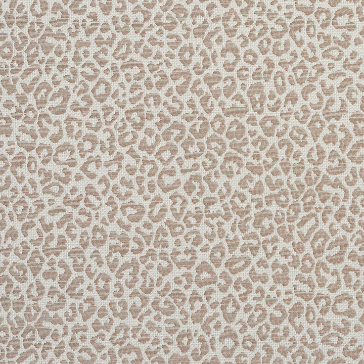 1596 Taupe by Charlotte Fabric Ring Book Page #16A 75% Rayon, 25% Polyester Asia Exceeds 70,000 Wyzenbeek Rubs (Heavy Duty) Random 54 Inches - Fabric Carolina -