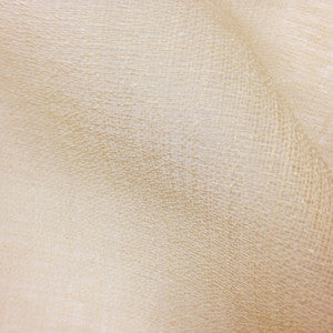 160 Sheers 121 by Europatex Fabric