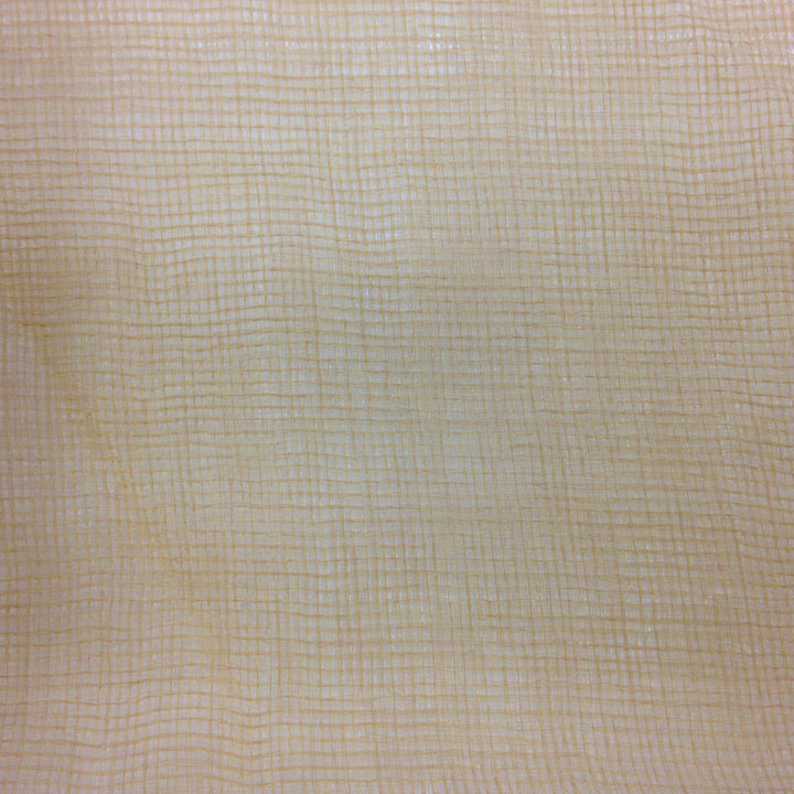 160 Sheers 045 by Europatex Fabric 160 Sheers Collection 100% Polyester 0.00" 110.00 inches - Fabric Carolina -
