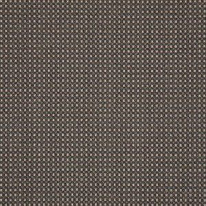 16007-0003 Depth Fossil by Sunbrella Fabric