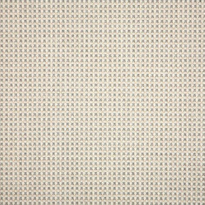 16007-0008 Depth Pumice by Sunbrella Fabric