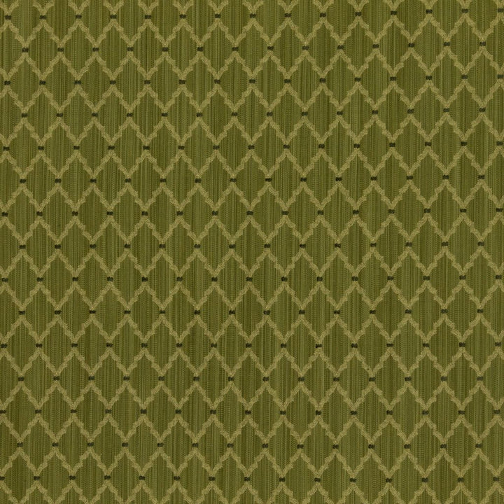 Carlyle Pear by RM CoCo Fabric Finishing Touches Vol 10 53% Polyester 47% Rayon See Sample 12000 Horizontal: 1.1252.13 55  - Fabric Carolina -