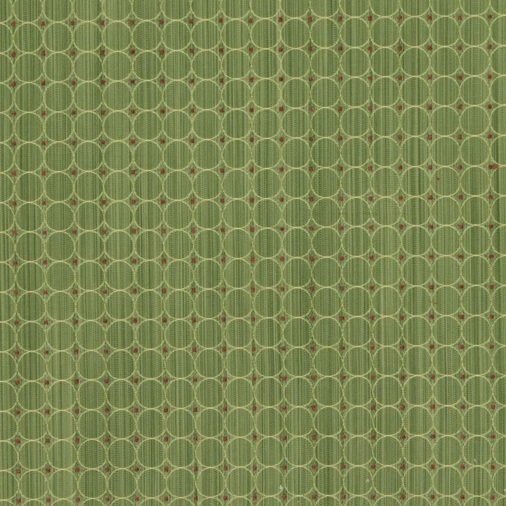 Rizzolli Mint by RM CoCo Fabric Finishing Touches Vol 10 51% Rayon 49% Polyester See Sample 12000 Horizontal: 0.75 and Vertical: 0.75 54 - Fabric Carolina -