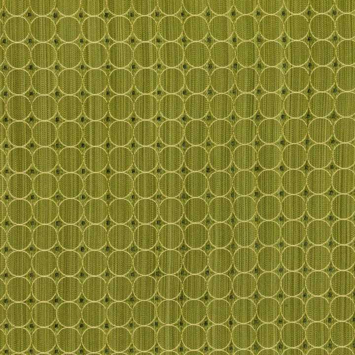 Rizzolli Pear by RM CoCo Fabric Finishing Touches Vol 10 51% Rayon 49% Polyester See Sample 12000 Horizontal: 0.750.75 54  - Fabric Carolina -