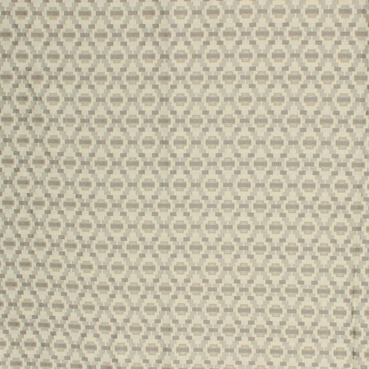 Step Up Trellis Sterling by RM CoCo Fabric