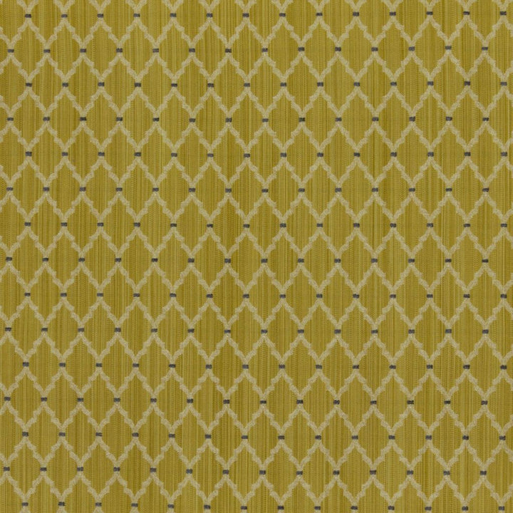 Carlyle Goldenrod by RM CoCo Fabric Finishing Touches Vol 7 53% Polyester 47% Rayon See Sample 12000 Horizontal: 1.125 and Vertical: 2.13 55 - Fabric Carolina -