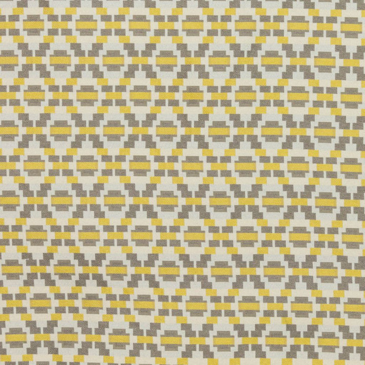 Step Up Trellis Gold Gray by RM CoCo Fabric