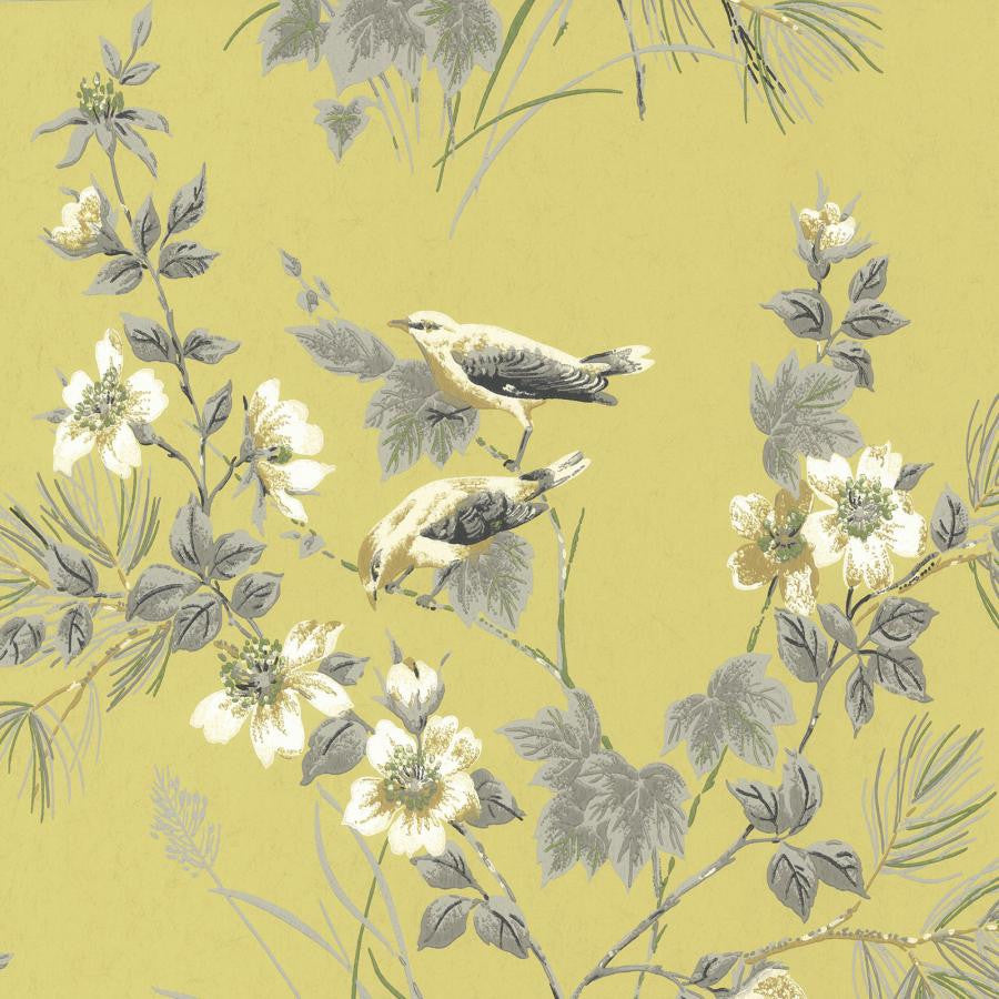 Rosemore (Wp) # 01 by 1838 Wallcoverings Wallpaper Rosemore HALF DROP PASTE THE WALL UNITED KINGDOM V-21" 20.5"X11YD - Fabric Carolina -