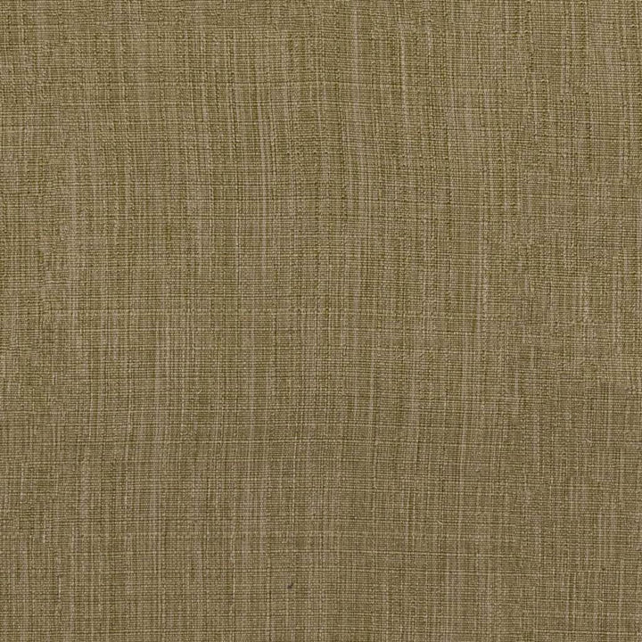 Phantom Spanish Moss by RM CoCo Fabric Twilight Dimmers 100% Polyester See Sample 0 Horizontal: 0 and Vertical: 0 55 - Fabric Carolina -