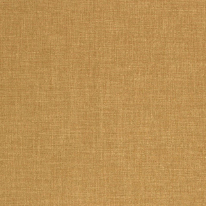 Saint Tropez Key Lime by RM CoCo Fabric