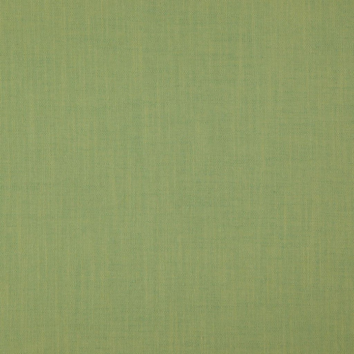 Strata Basil by RM CoCo Fabric Strata 76% Viscose 24% Linen See Sample 10000 Horizontal: 0 and Vertical: 0 55 - Fabric Carolina -