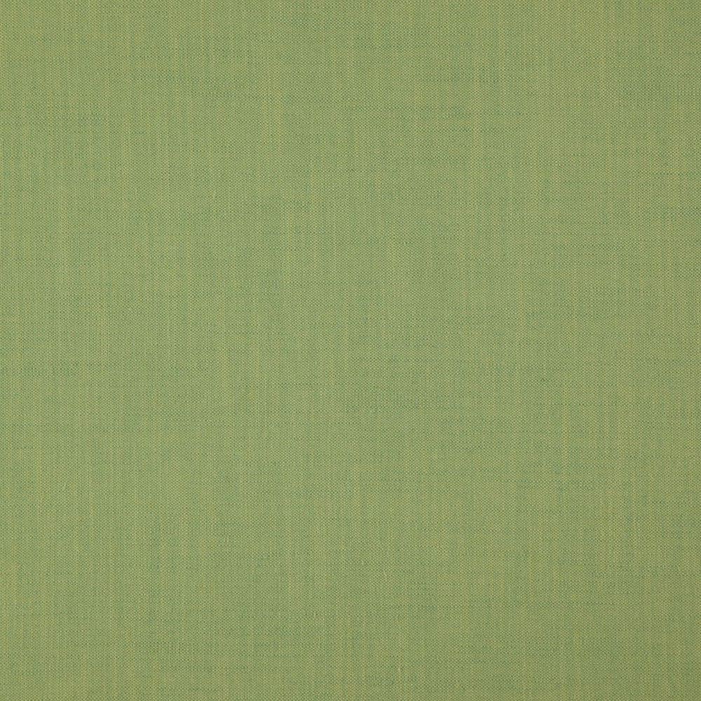 Strata Basil by RM CoCo Fabric Strata 76% Viscose 24% Linen See Sample 10000 Horizontal: 00 55  - Fabric Carolina -