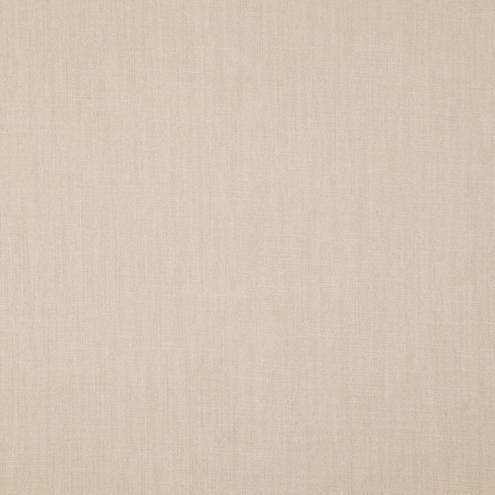 Strata Flax by RM CoCo Fabric Strata 76% Viscose 24% Linen See Sample 10000 Horizontal: 00 55  - Fabric Carolina -