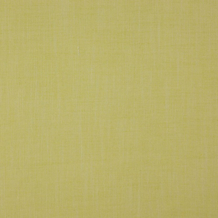 Strata Palm by RM CoCo Fabric