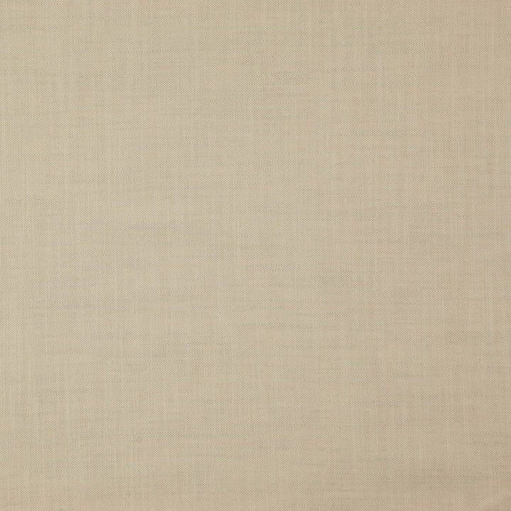 Strata Putty by RM CoCo Fabric Strata 76% Viscose 24% Linen See Sample 10000 Horizontal: 00 55  - Fabric Carolina -