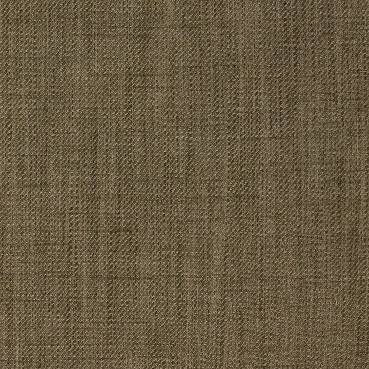 Sutton Sisal by RM CoCo Fabric Sutton 100% Polyester See Sample 0 Horizontal: 00 57  - Fabric Carolina -