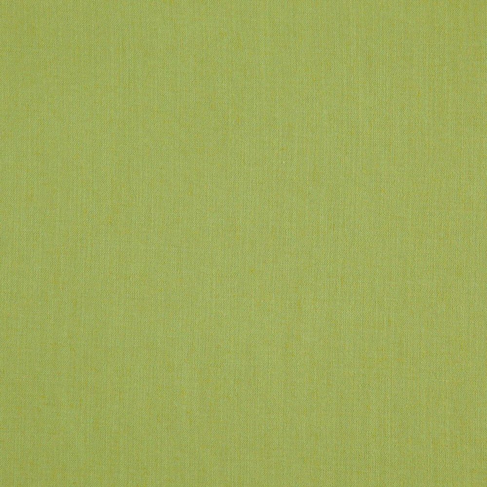 Landen Fern by RM CoCo Fabric Landen 95% Polyester 5% Linen See Sample 110000 Horizontal: 0 and Vertical: 0 57 - Fabric Carolina -