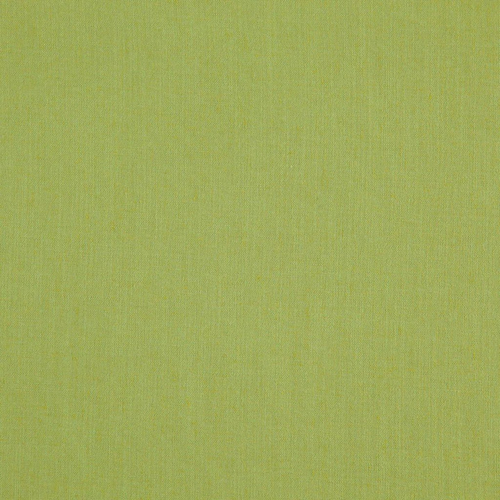 LANDEN FERN by RM CoCo Fabric Landen 95% Polyester 5% Linen See Sample 110000 Horizontal: 0 and Vertical: 0 57 - Fabric Carolina -